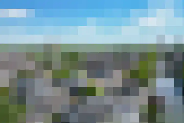 Bemuurde Weerd O.Z. 71 C Utrecht thumbnail 7