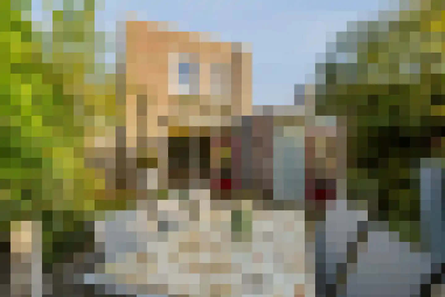 Ben Goerionsingel 14 Ede thumbnail 28