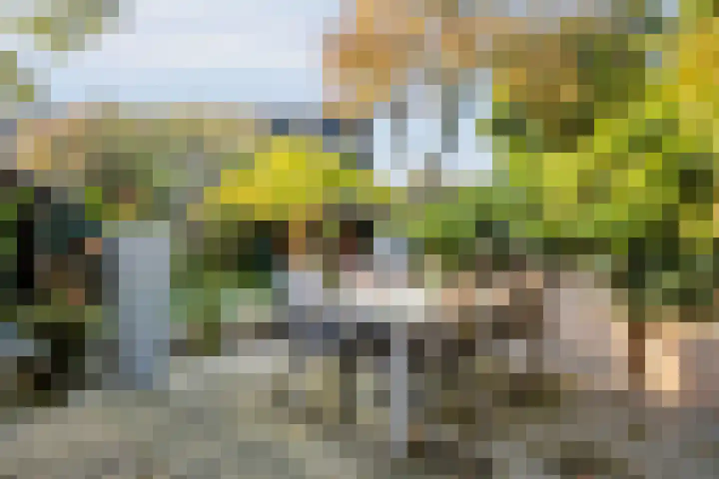 Ben Goerionsingel 14 Ede thumbnail 31