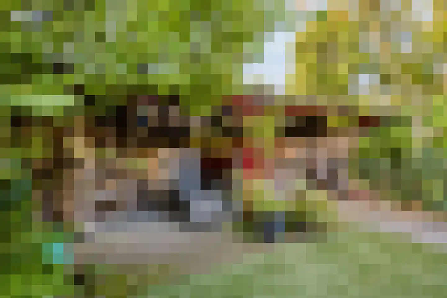 Ben Goerionsingel 14 Ede thumbnail 33