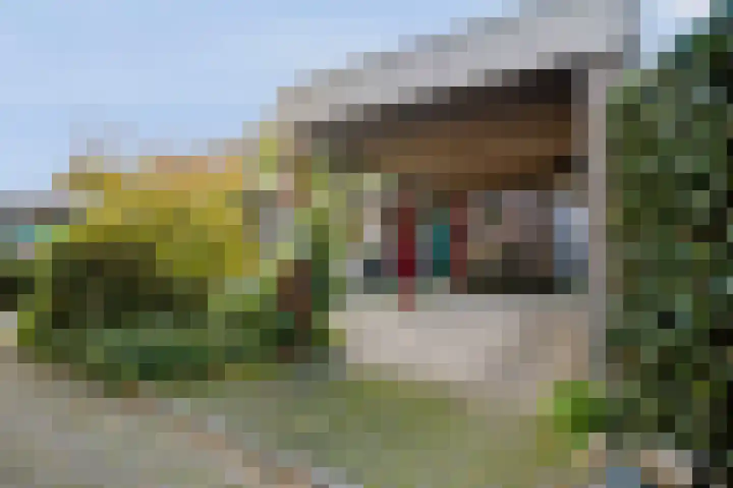 Ben Goerionsingel 14 Ede thumbnail 37
