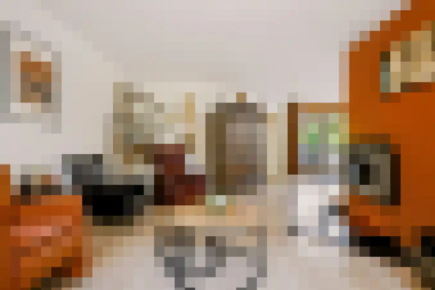 Ben Goerionsingel 14 Ede thumbnail 7