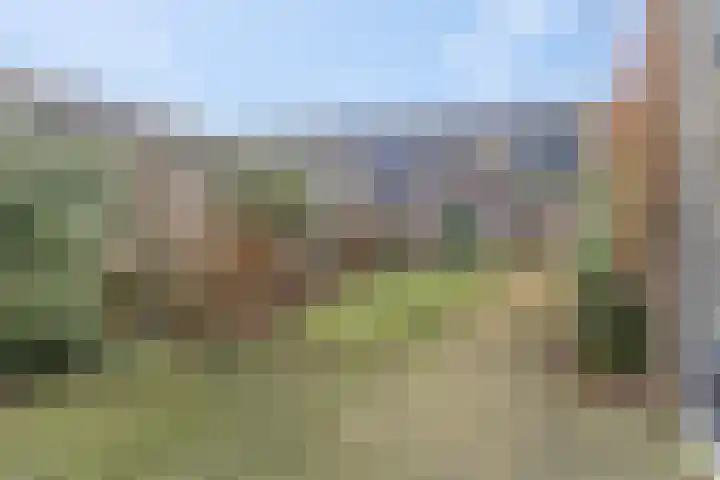 Ben Goerionsingel 16 Ede thumbnail 27