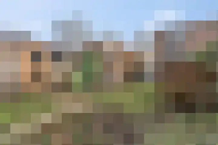 Ben Goerionsingel 16 Ede thumbnail 29