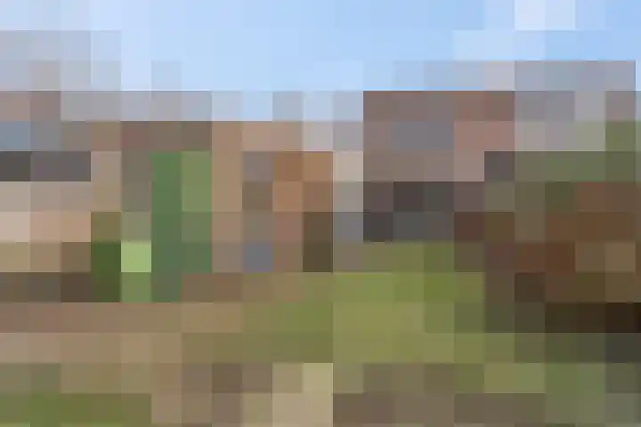 Ben Goerionsingel 16 Ede thumbnail 30