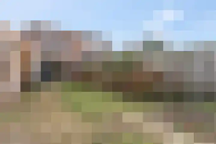 Ben Goerionsingel 16 Ede thumbnail 31