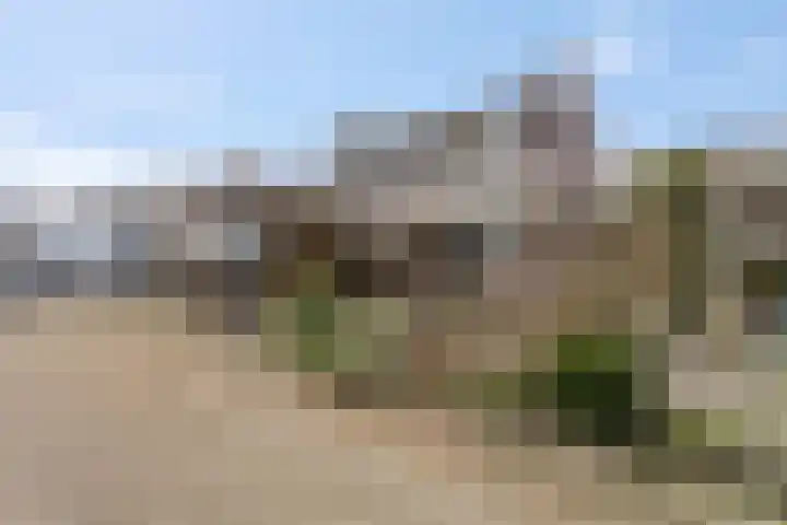 Ben Goerionsingel 16 Ede thumbnail 32