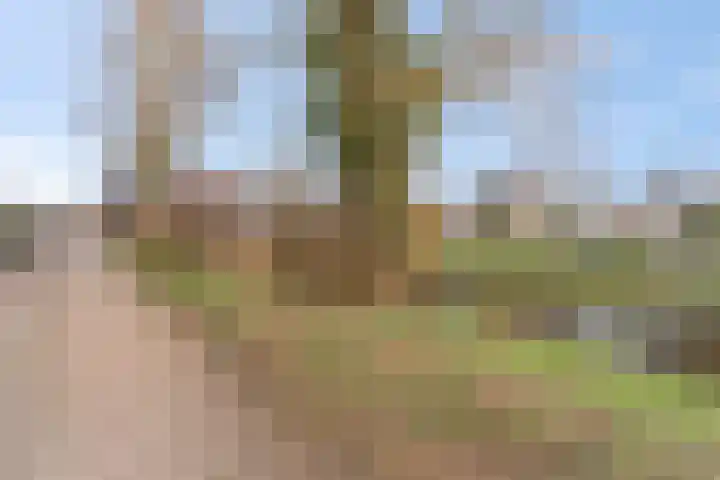 Ben Goerionsingel 16 Ede thumbnail 36