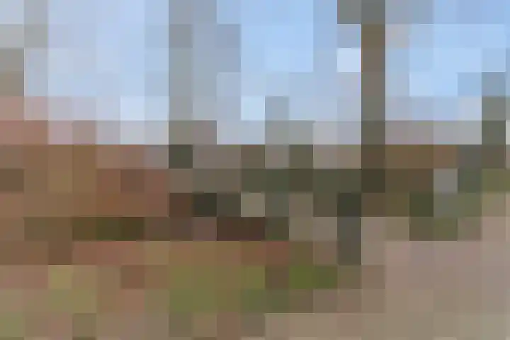 Ben Goerionsingel 16 Ede thumbnail 37