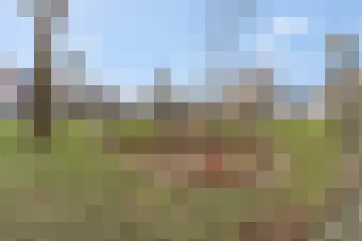 Ben Goerionsingel 16 Ede thumbnail 38