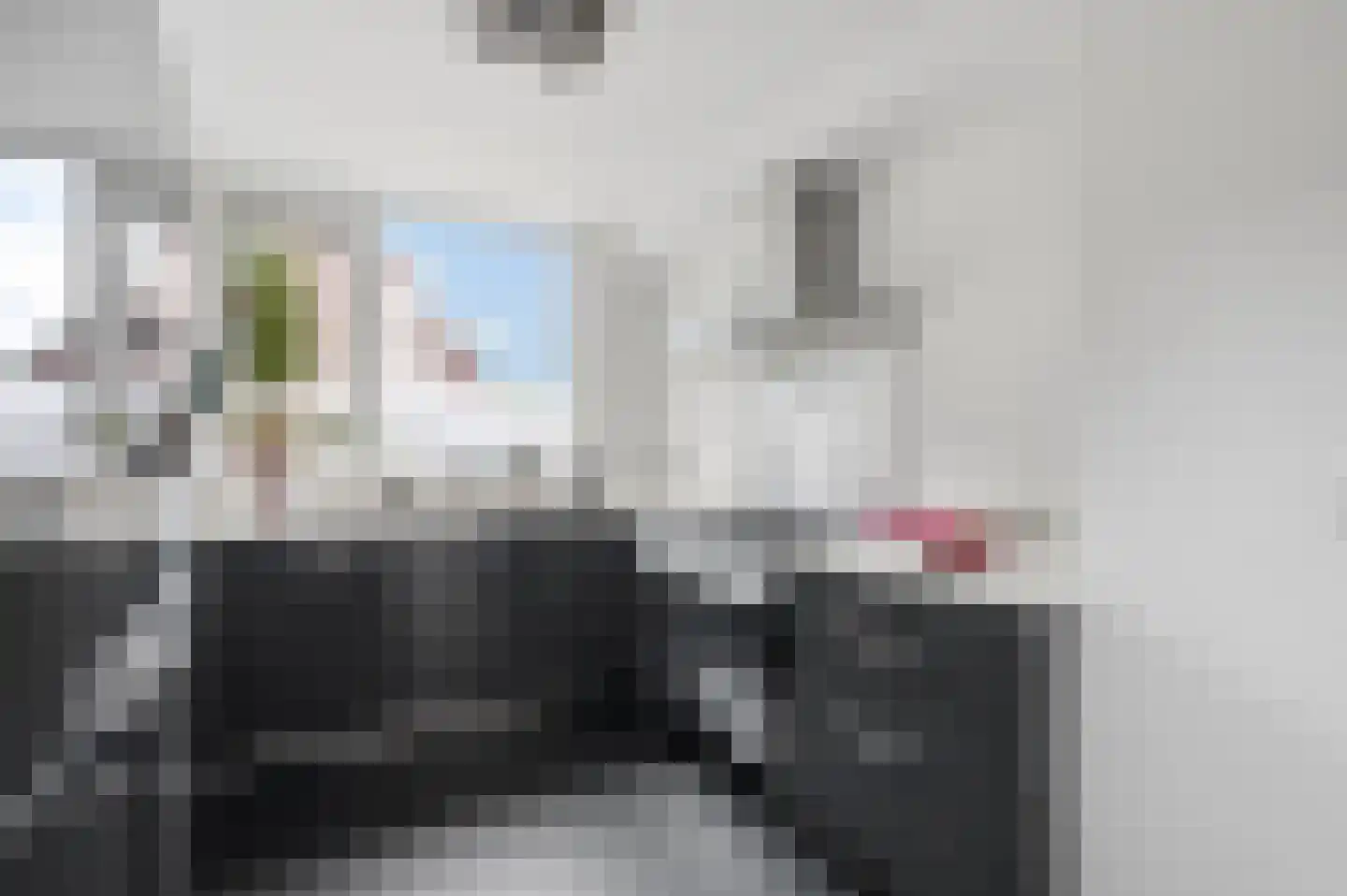 Ben Goerionsingel 2 Ede thumbnail 12