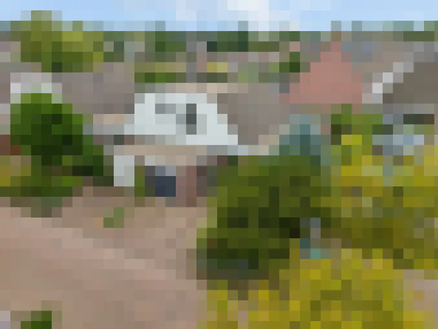 Ben Goerionsingel 2 Ede thumbnail 37