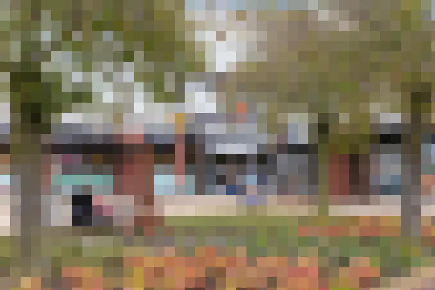 Ben Goerionsingel 2 Ede thumbnail 48