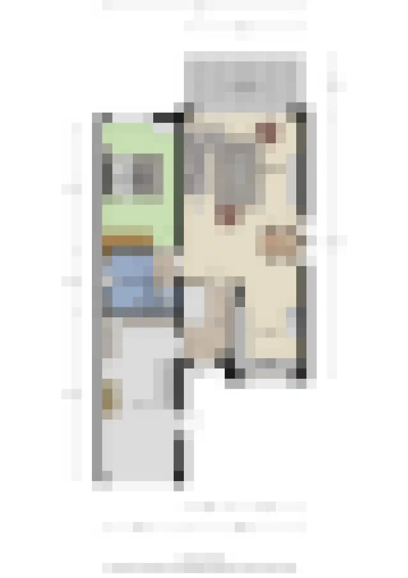 Ben Goerionsingel 2 Ede thumbnail 49