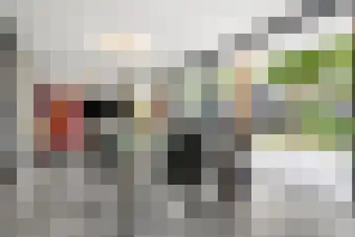 Ben Goerionsingel 36 Ede thumbnail 16