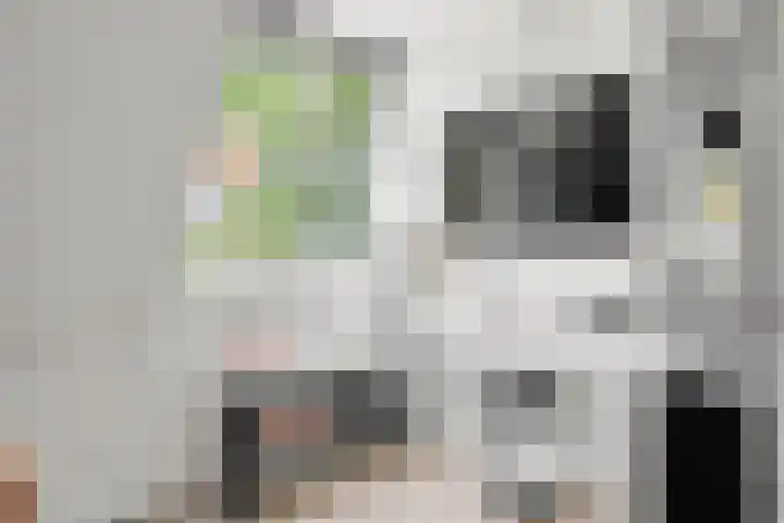 Ben Goerionsingel 36 Ede thumbnail 29