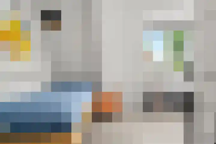 Ben Goerionsingel 36 Ede thumbnail 30