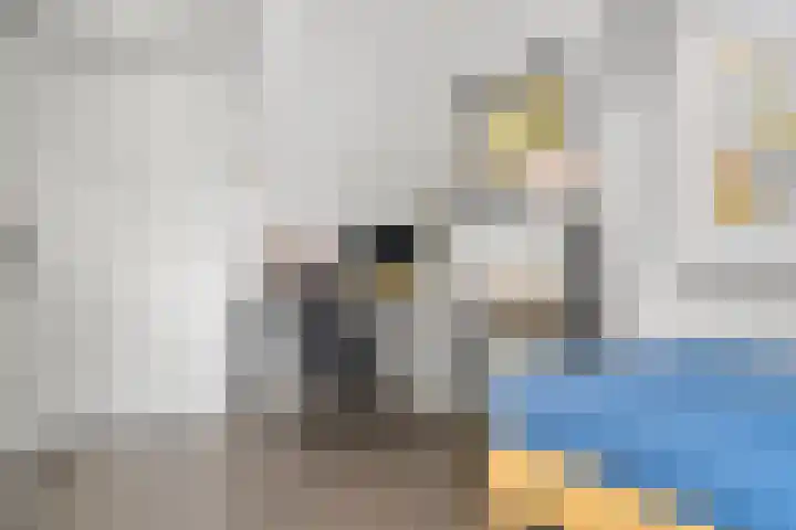 Ben Goerionsingel 36 Ede thumbnail 31