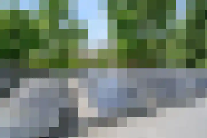 Ben Goerionsingel 36 Ede thumbnail 32