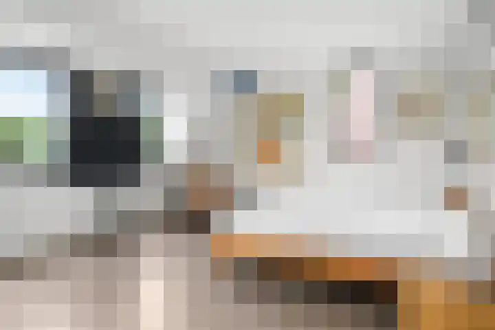 Ben Goerionsingel 36 Ede thumbnail 33