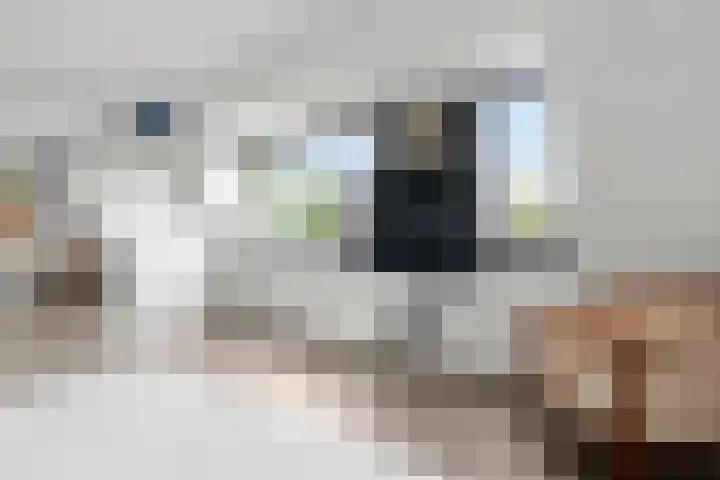 Ben Goerionsingel 36 Ede thumbnail 34
