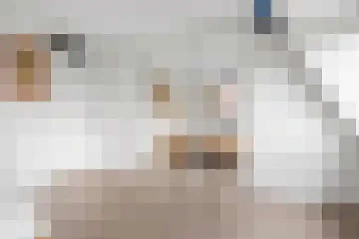 Ben Goerionsingel 36 Ede thumbnail 35