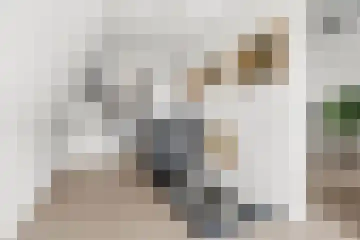 Ben Goerionsingel 36 Ede thumbnail 42