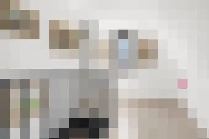 Ben Goerionsingel 36 Ede thumbnail 43