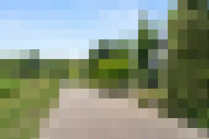 Ben Goerionsingel 36 Ede thumbnail 48