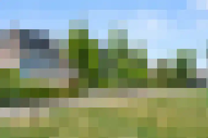 Ben Goerionsingel 36 Ede thumbnail 49
