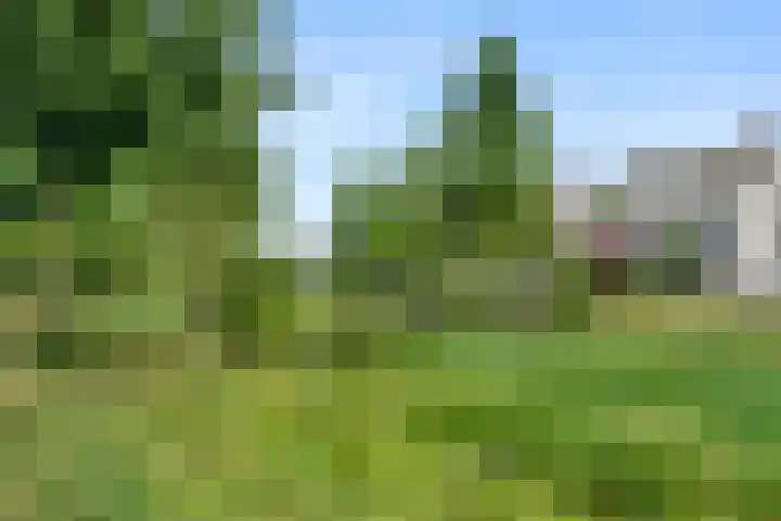 Ben Goerionsingel 36 Ede thumbnail 50
