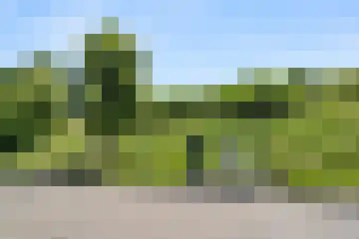 Ben Goerionsingel 36 Ede thumbnail 52