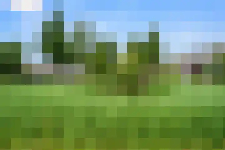 Ben Goerionsingel 36 Ede thumbnail 53
