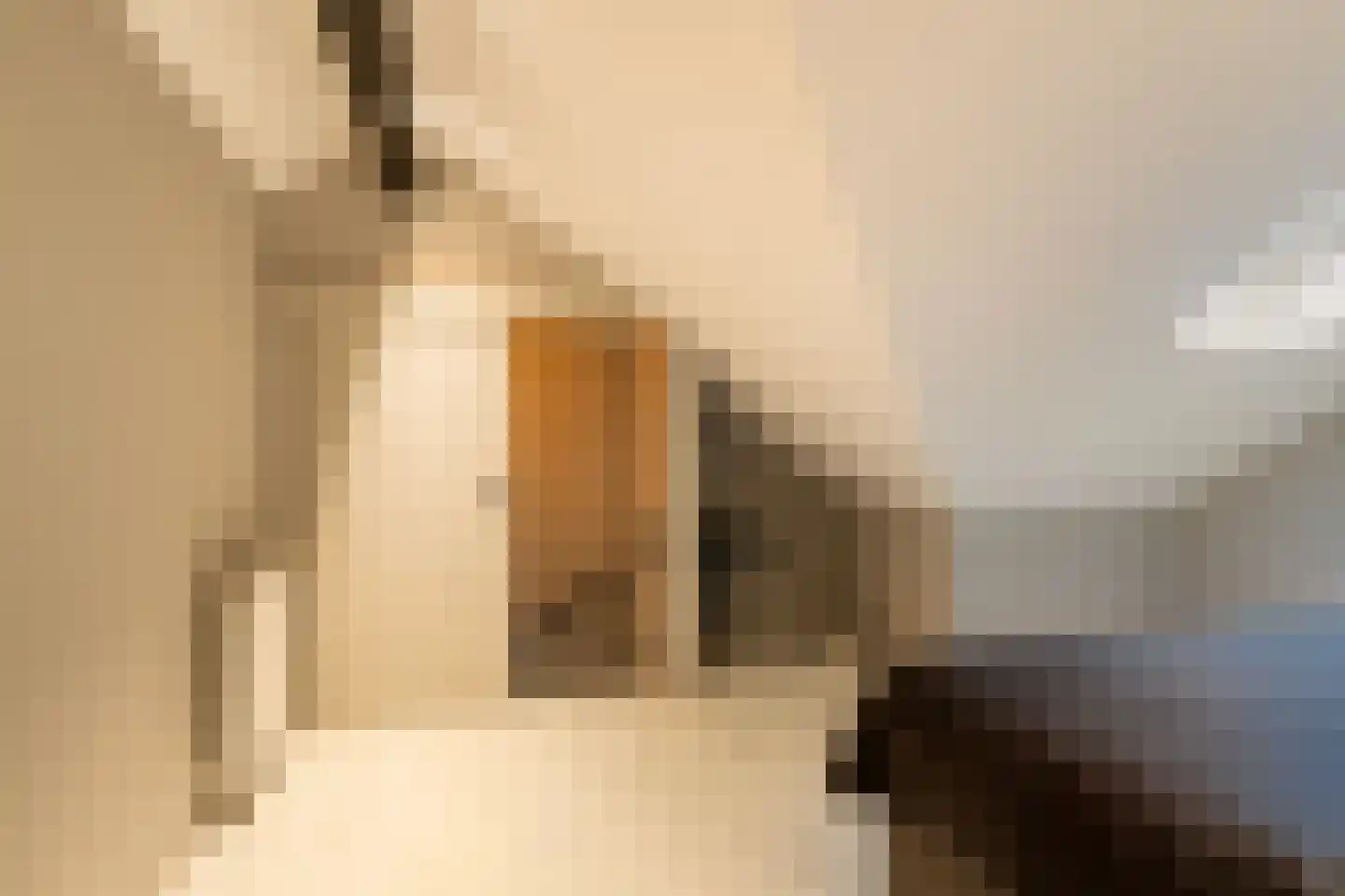 Ben Kleijwegthof 2 Hoek van Holland thumbnail 27
