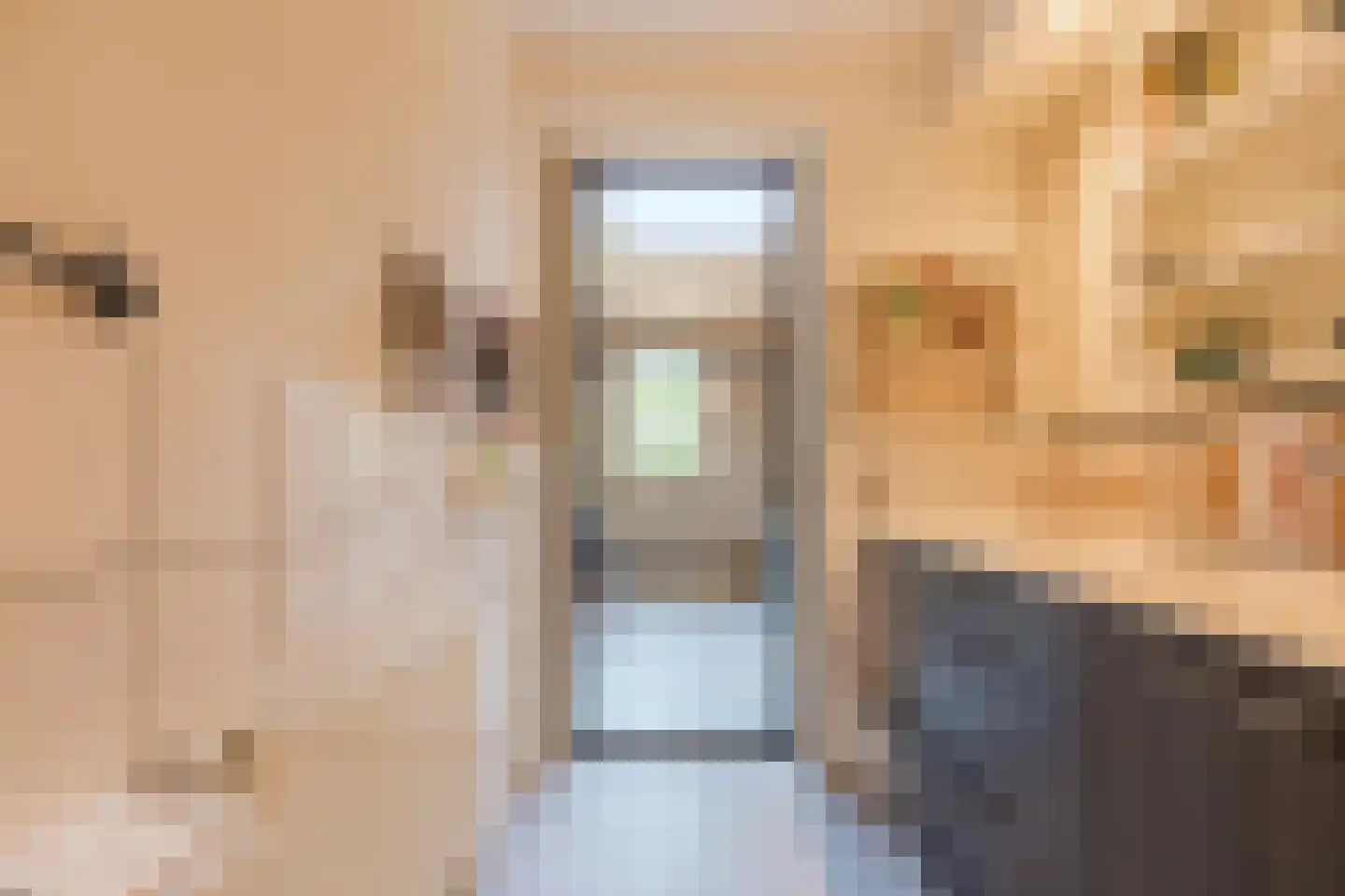 Ben Sikkenlaan 3 Wageningen thumbnail 14