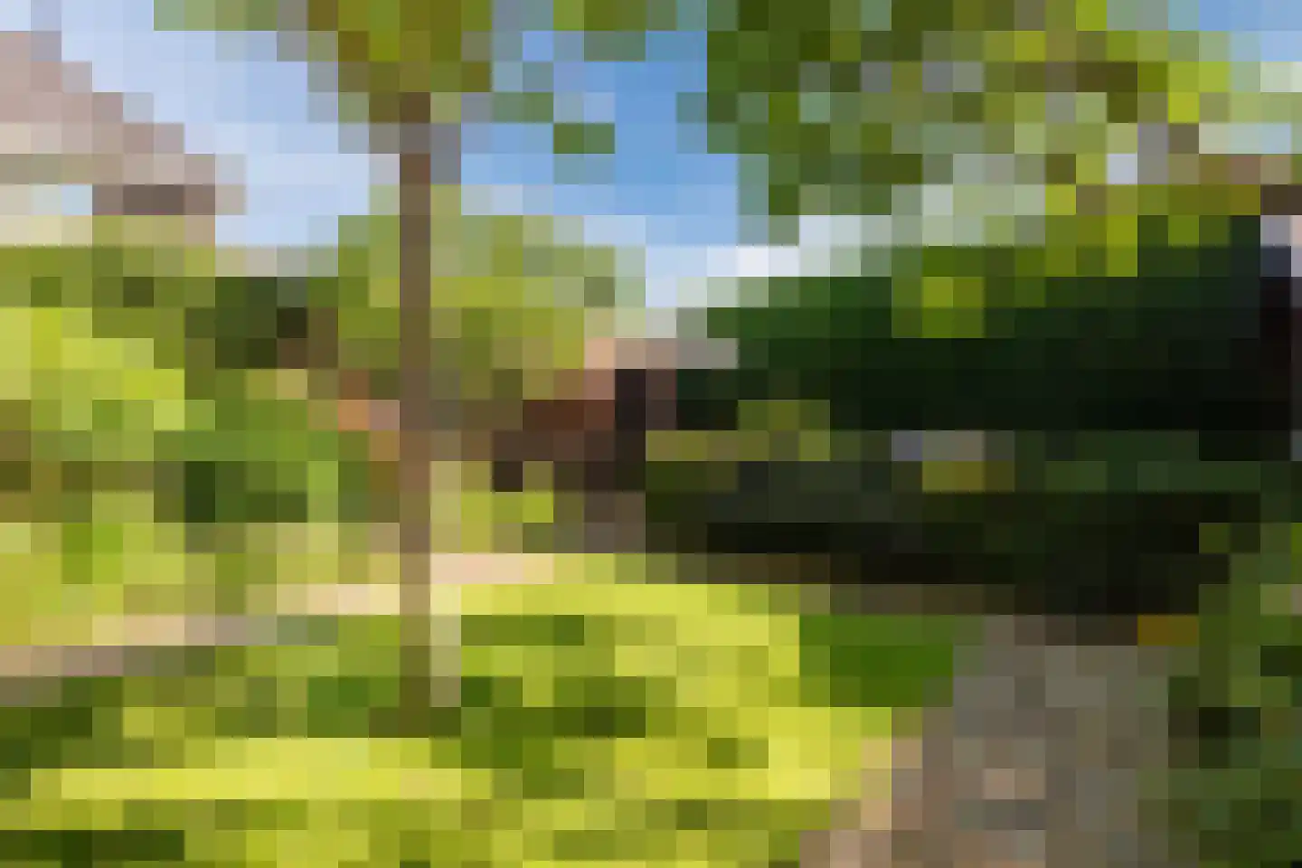 Ben Sikkenlaan 3 Wageningen thumbnail 44
