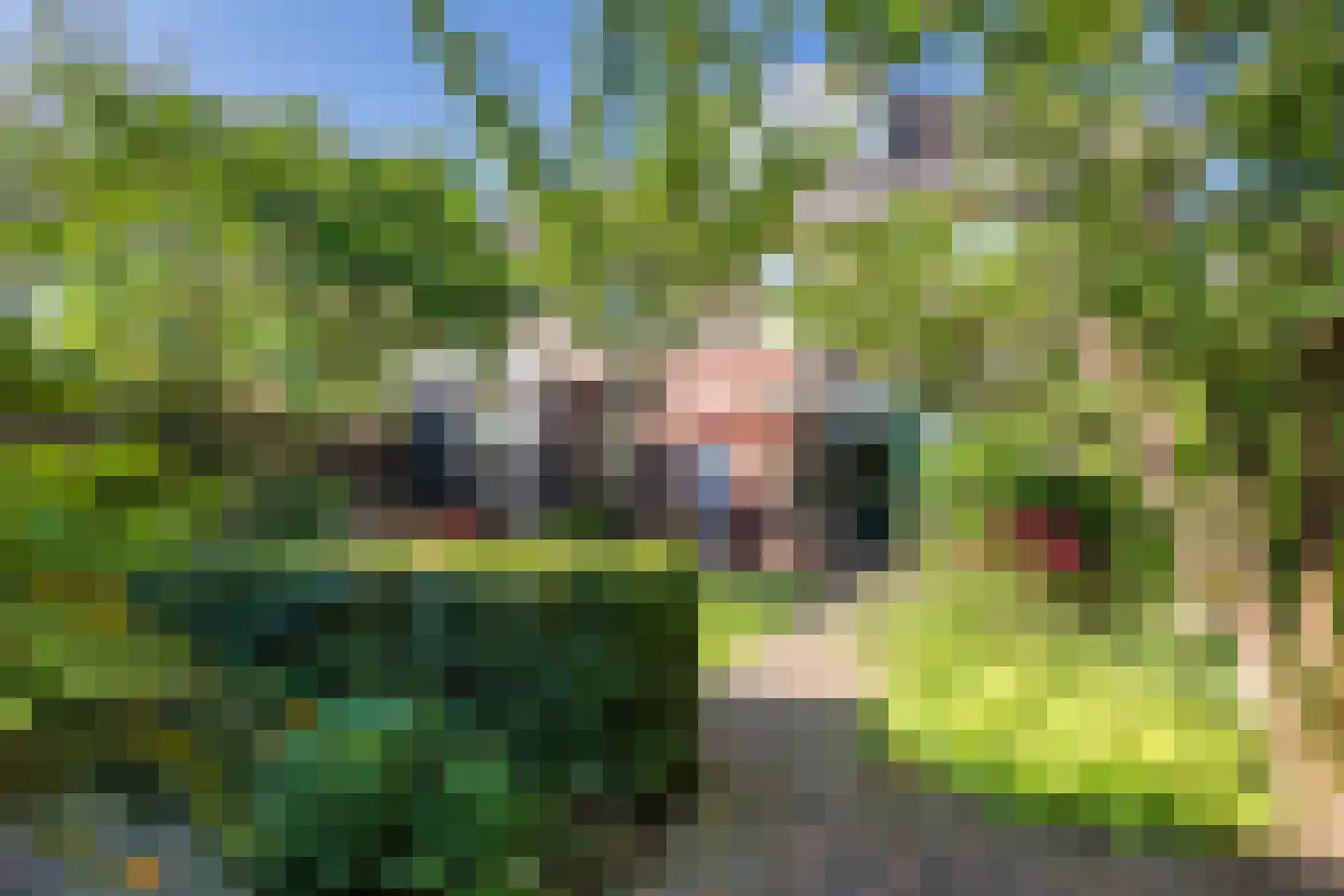 Ben Sikkenlaan 3 Wageningen thumbnail 46