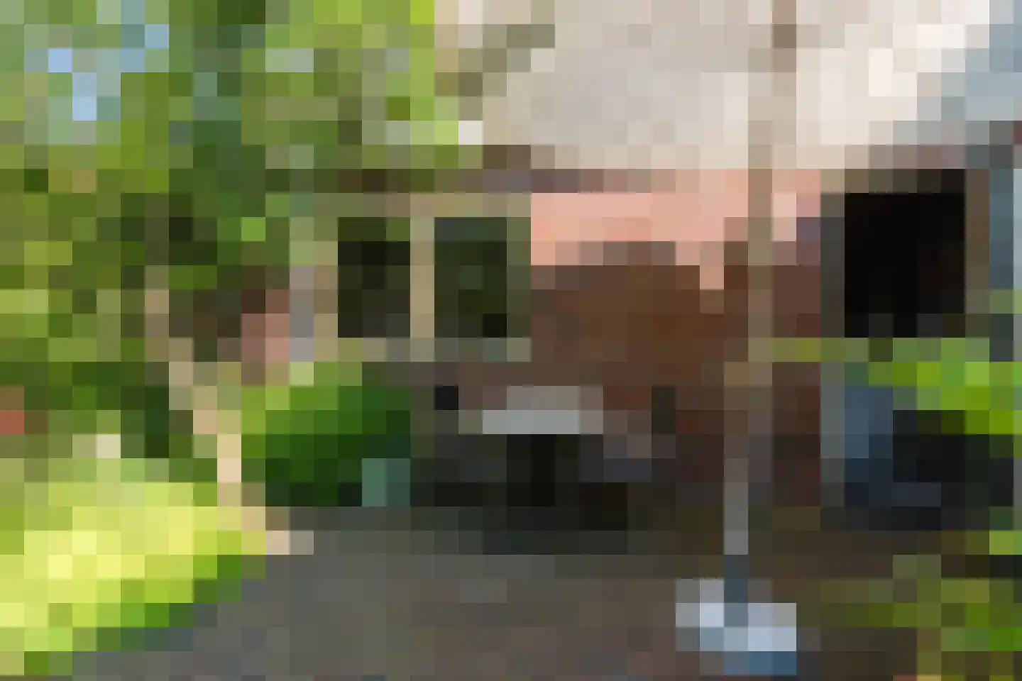 Ben Sikkenlaan 3 Wageningen thumbnail 47