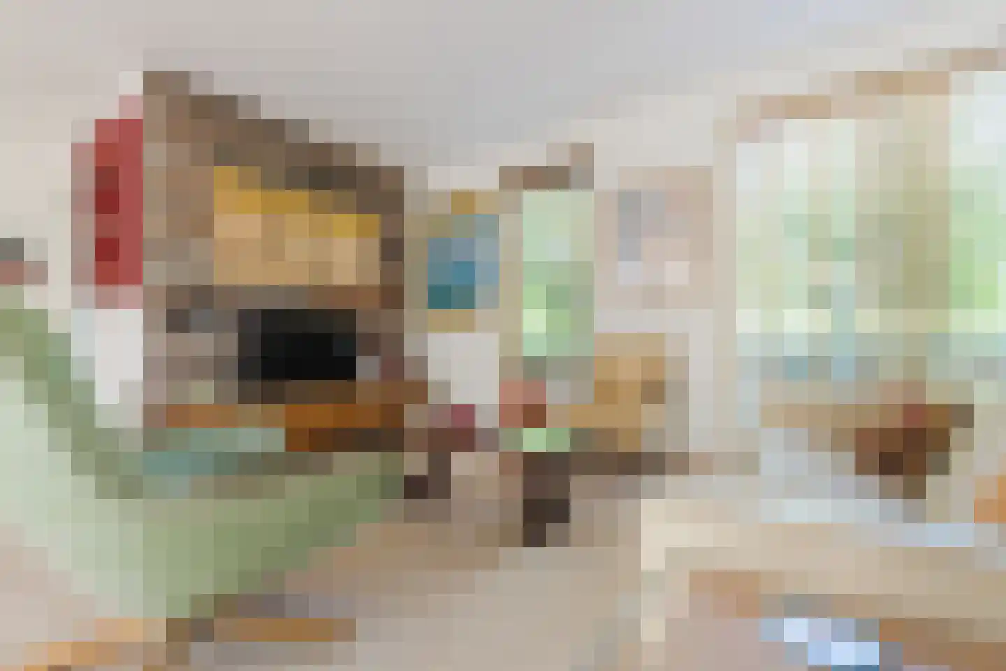 Ben Sikkenlaan 3 Wageningen thumbnail 6