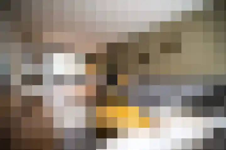 Ben Viegersstraat 18 Nunspeet thumbnail 8
