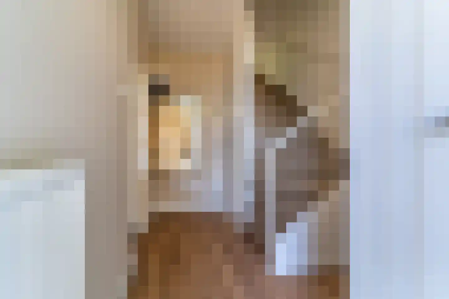 Ben Viegersstraat 28 Nunspeet thumbnail 9