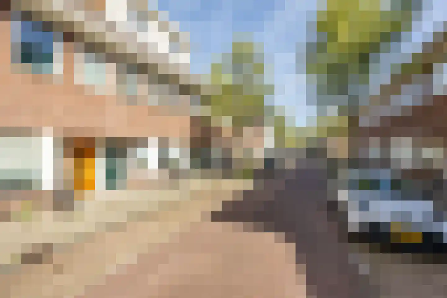 Ben Viljoenstraat 11 RD Haarlem thumbnail 37