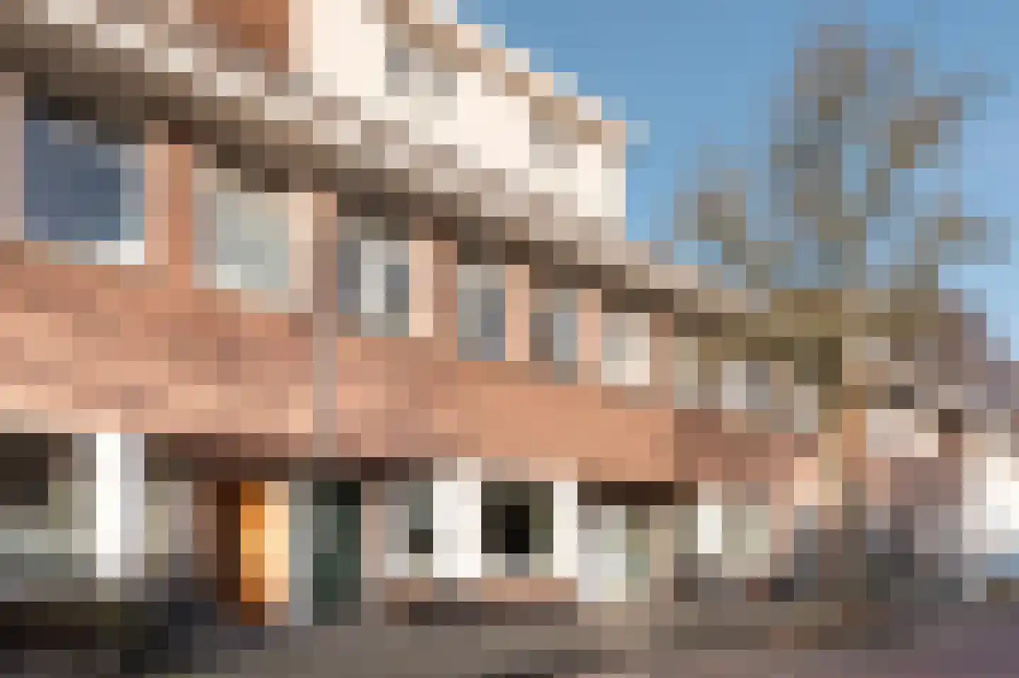 Ben Viljoenstraat 11 ZW Haarlem thumbnail 29