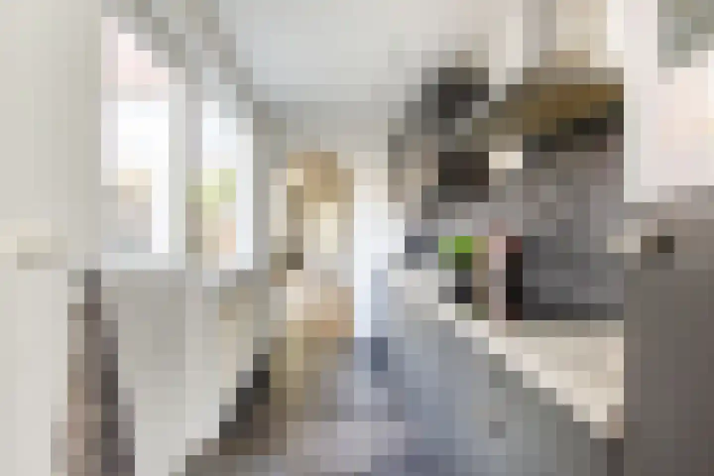 Ben Viljoenstraat 29 Haarlem thumbnail 22