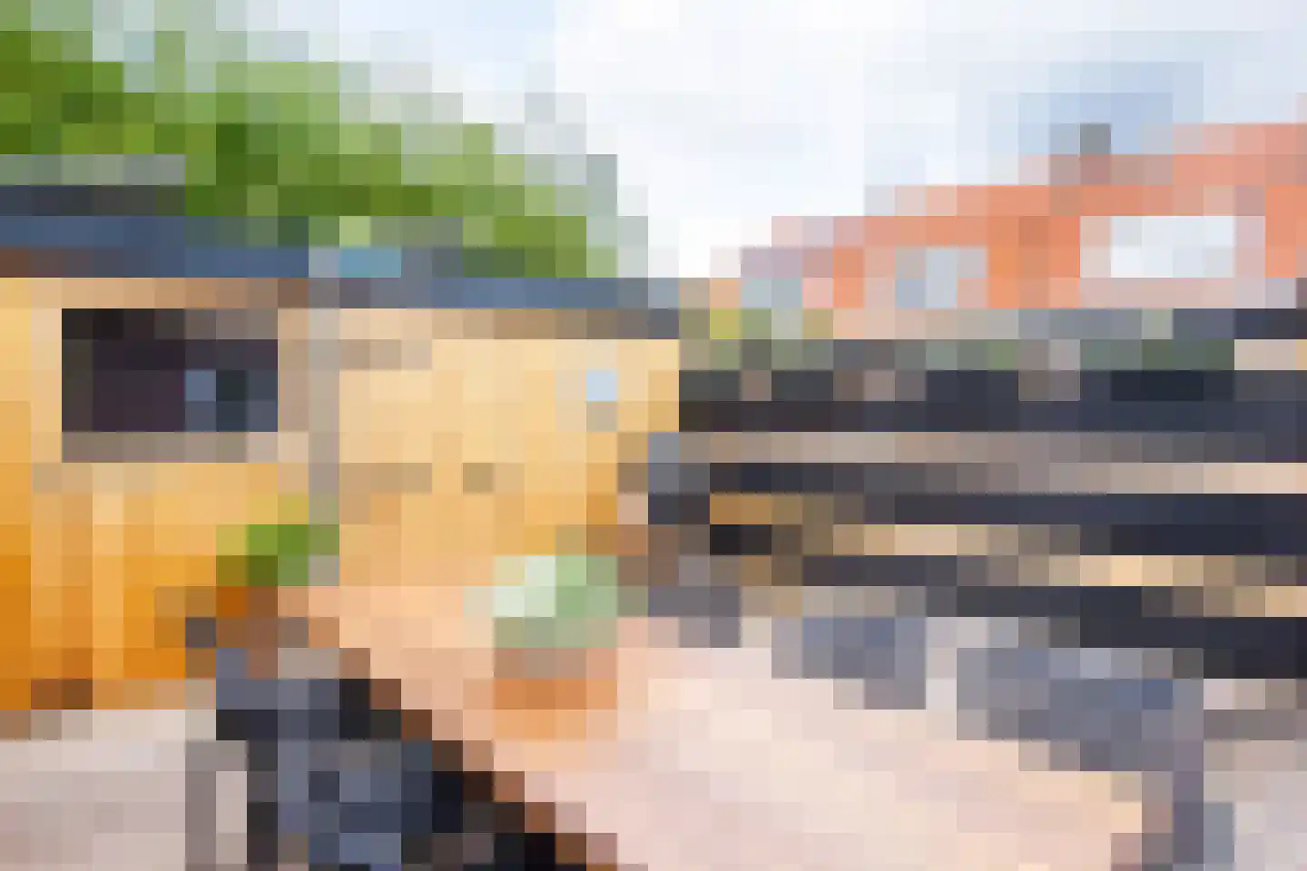 Ben Viljoenstraat 29 Haarlem thumbnail 24