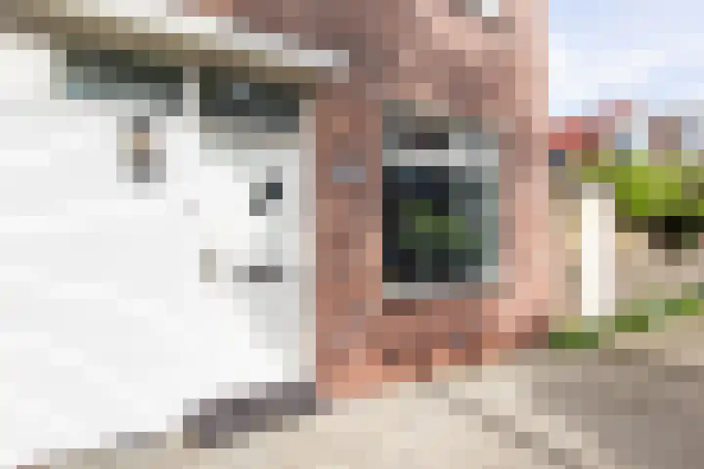 Ben Viljoenstraat 29 Haarlem thumbnail 5