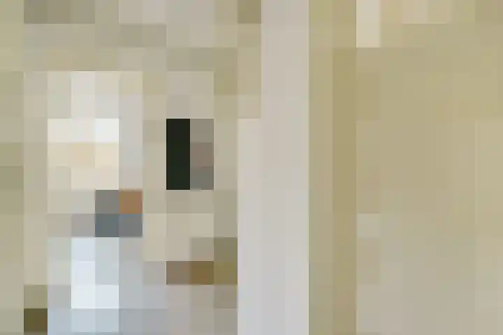 Ben Viljoenstraat 37 Amsterdam thumbnail 5