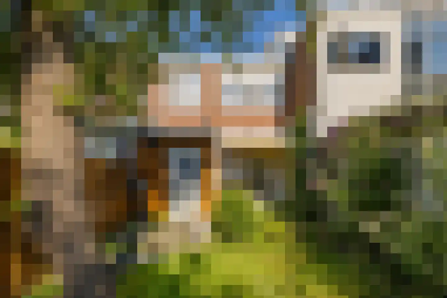 Ben Viljoenstraat 58 Haarlem thumbnail 26