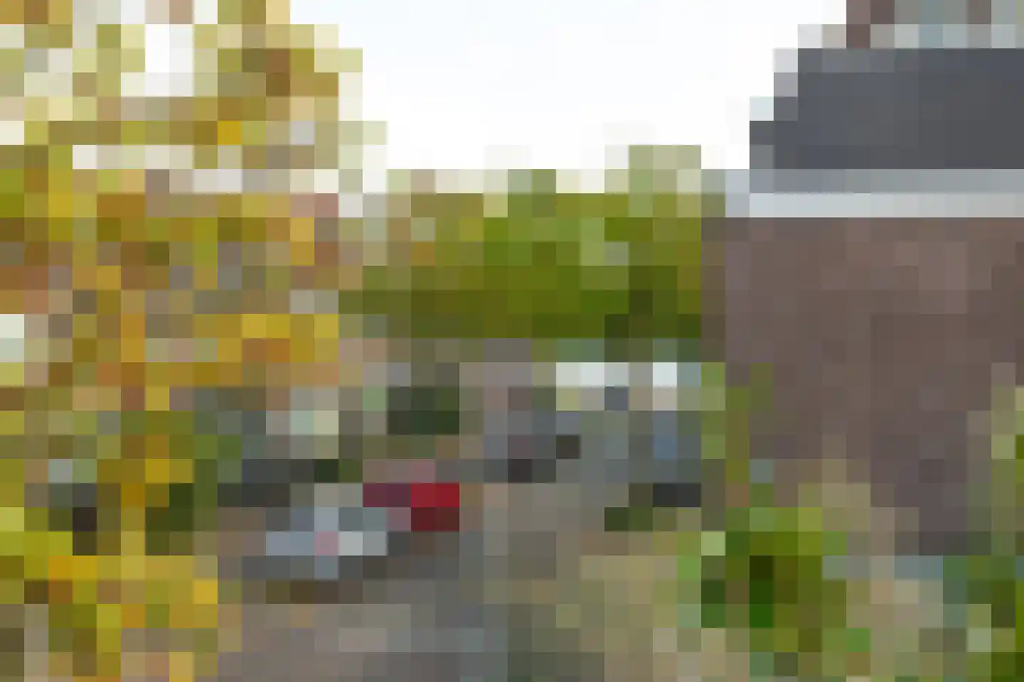 Ben Viljoenstraat 78 Haarlem thumbnail 27