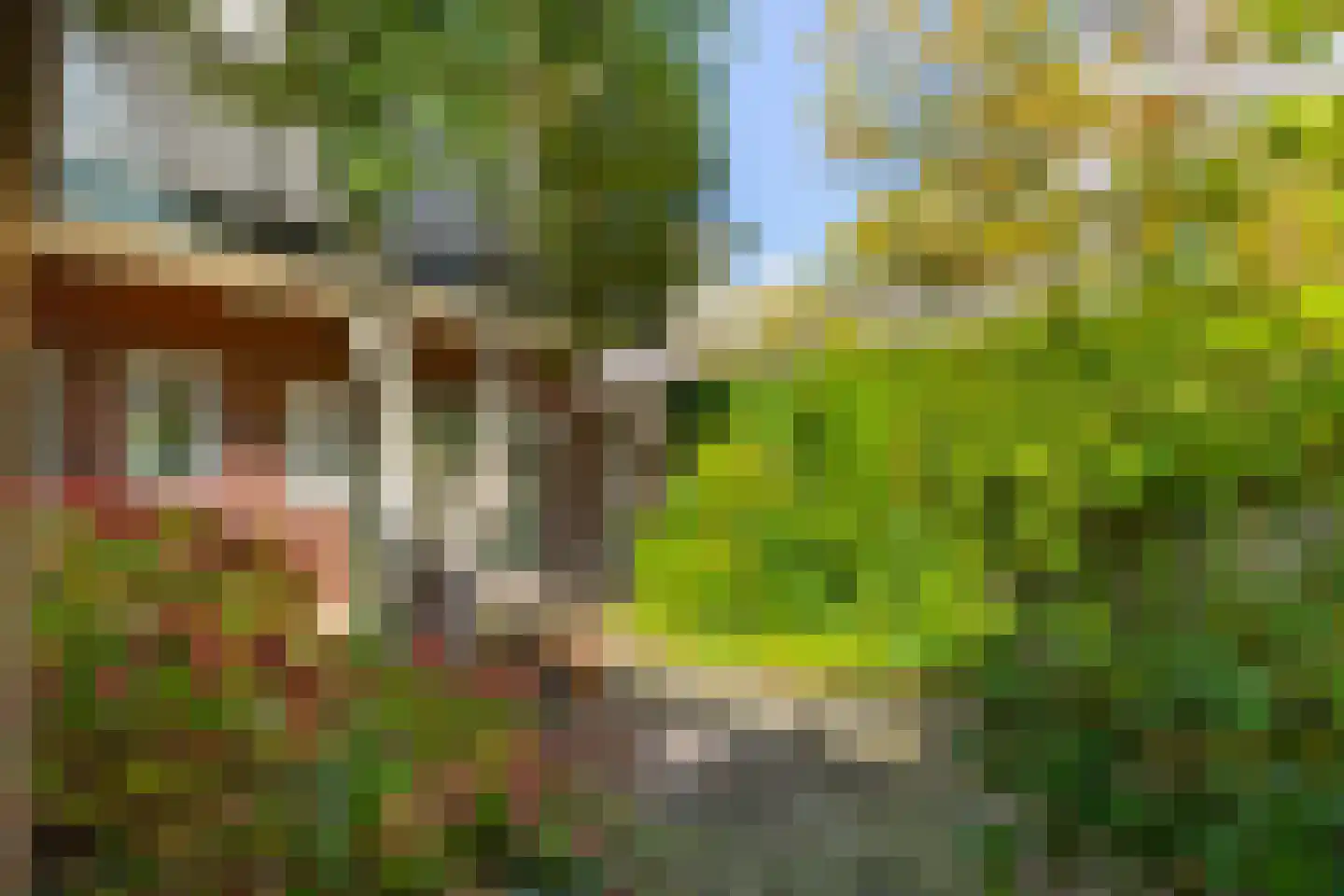 Ben Viljoenstraat 78 Haarlem thumbnail 30